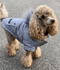 JUST $5! Bailey & Bella Grey Parka with Faux Fur Trim: Small